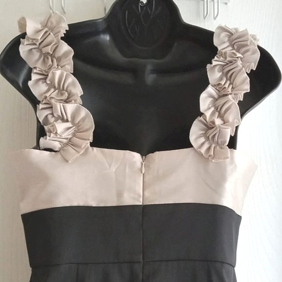 Maggy London |  Sophisticated Black and Beige Cocktail Dress - Picture 7 of 8